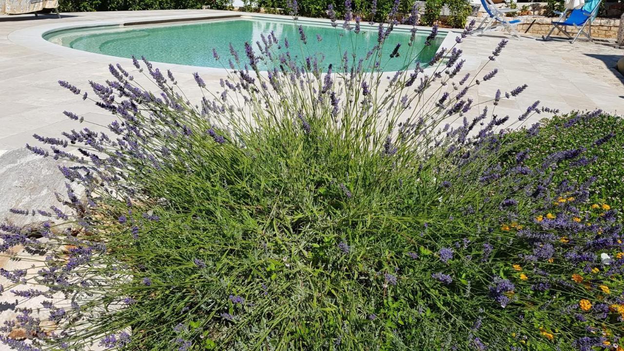 Aparthotel Trulli Giaci&Mauri Selva Di Fasano Exteriér fotografie